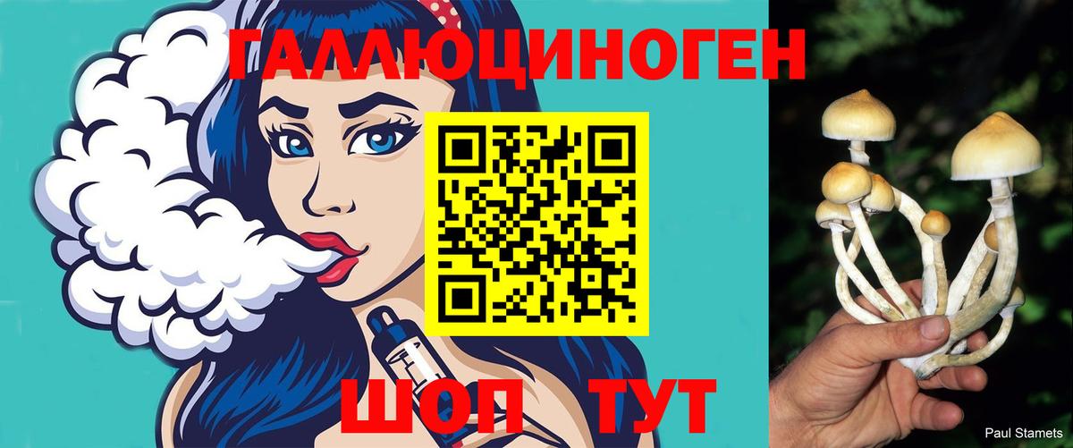 Славянск-на-Кубани  Псилоцибиновые грибы прущие грибы  наркошоп  Вход с VPN 
